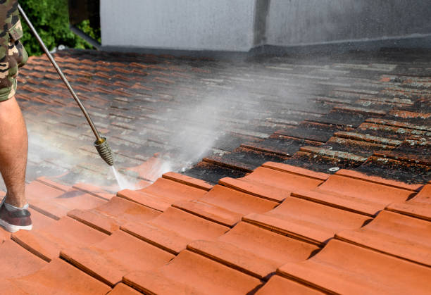Best Roof Pressure Washing  in Dunes City, OR